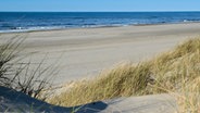 Dünenlandschaft auf Norderney. © NDR/Blende8media UG/Ralph Schieke, honorarfrei 