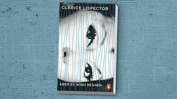 Clarice Lispector: "Aber es wird regnen" (Cover) © Penguin 