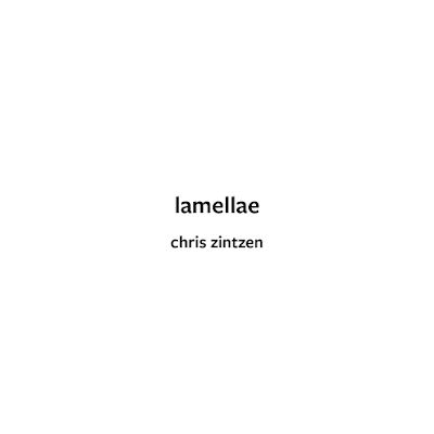 lamellae | Chris Zintzen | panAm productions
