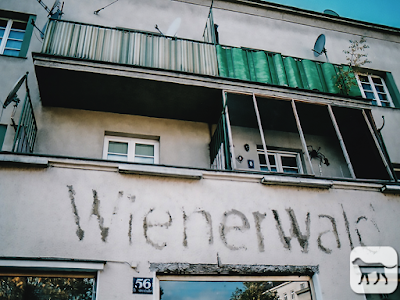 © Chris Zintzen. All Rights reserved