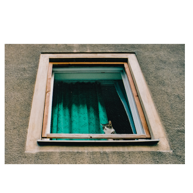 red vienna - still lives II © Chris Zintzen | panAm productions