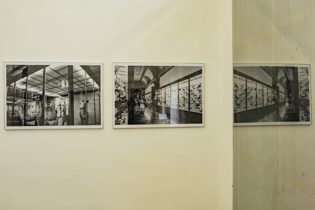 Ausstellung Verdinglichung © Chris Zintzen, Gue Schmidt, Fritz Fro @ MAG3, Wien. Foto © Chris Zintzen @ panAm productions 2020