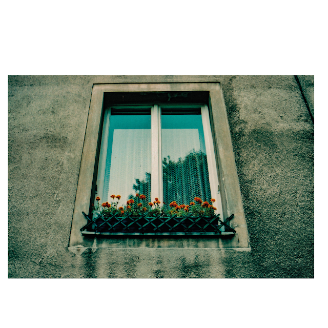 red vienna - still lives III (2003) © Chris Zintzen | panAm productions
