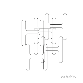 plants (H) | Chris Zintzen | panAm productions