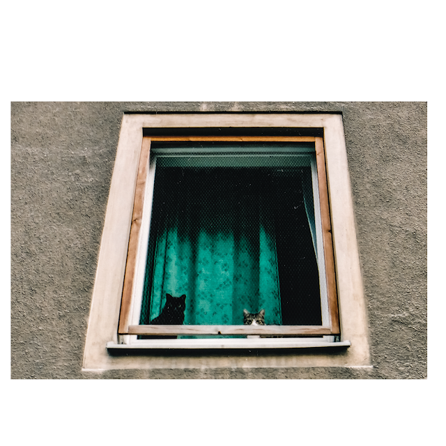 red vienna - still lives II © Chris Zintzen | panAm productions