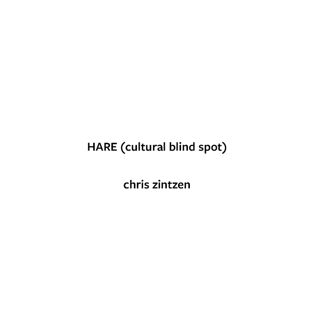 HARE (cultural blind spot) © Chris Zintzen | panAm productions