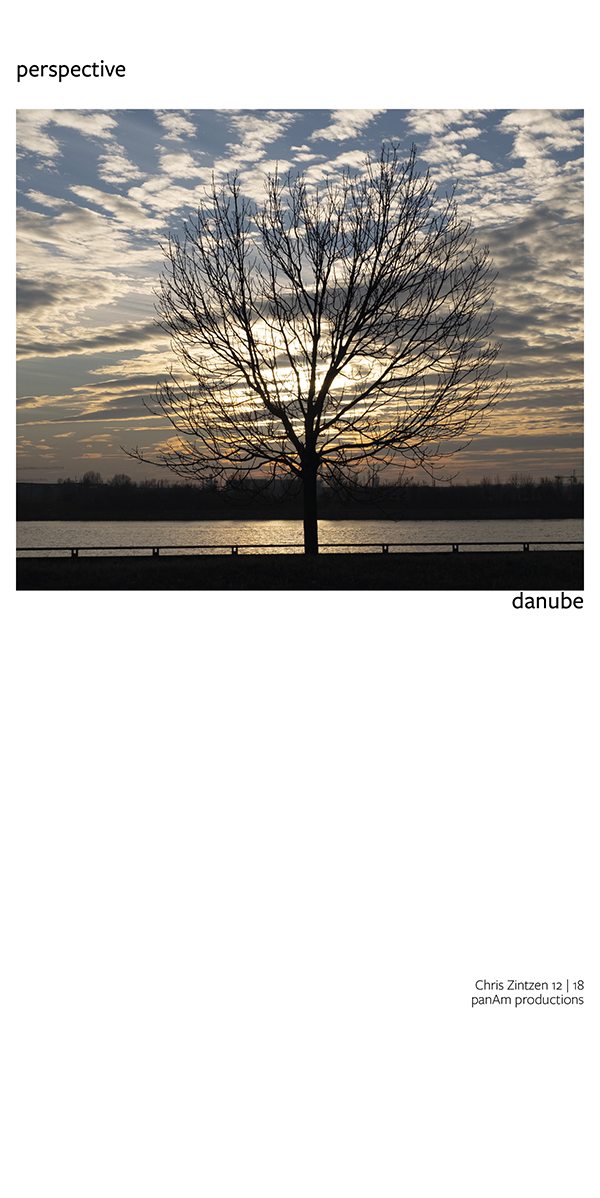 tree | perspective | Chris Zintzen | panAm productions
