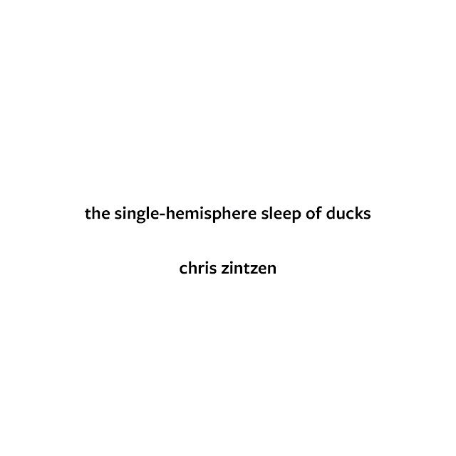 the single-hemisphere sleep of ducks © Chris Zintzen | panAm productions 2019