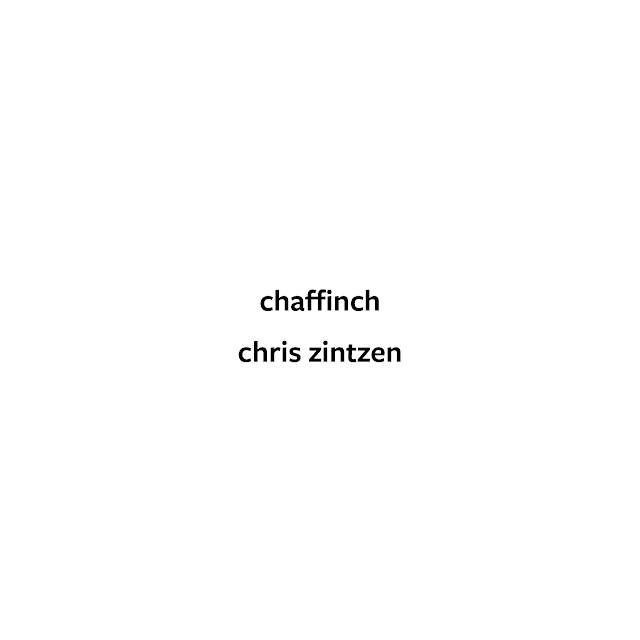 Chaffinch © Chris Zintzen | panAm productions