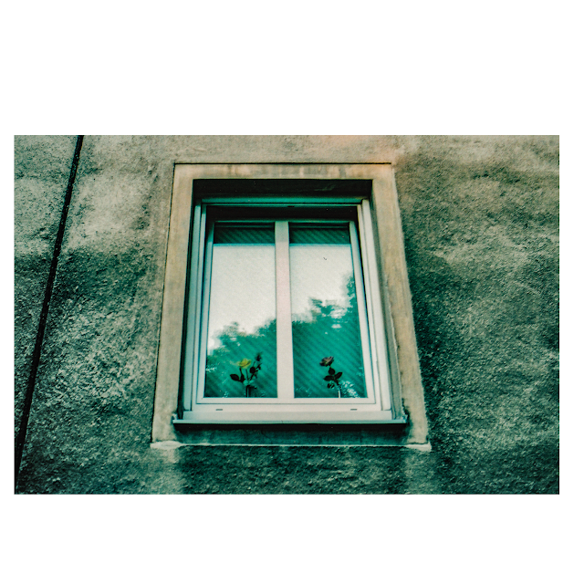 red vienna - still lives III (2003) © Chris Zintzen | panAm productions