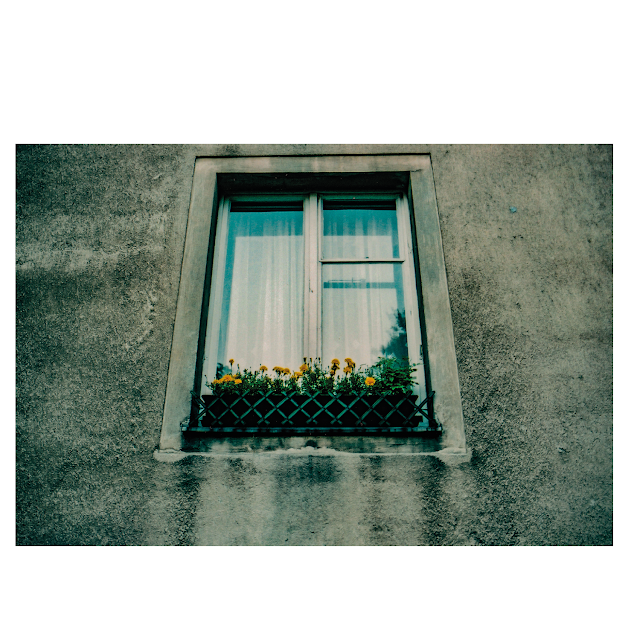 red vienna - still lives III (2003) © Chris Zintzen | panAm productions