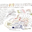 BQV – Produktiv/Prekär
