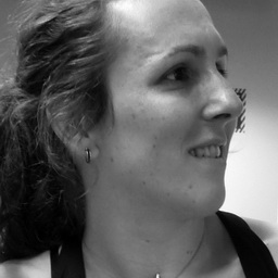 Eleanor Saitta, International Modern Media Institute, Seattle