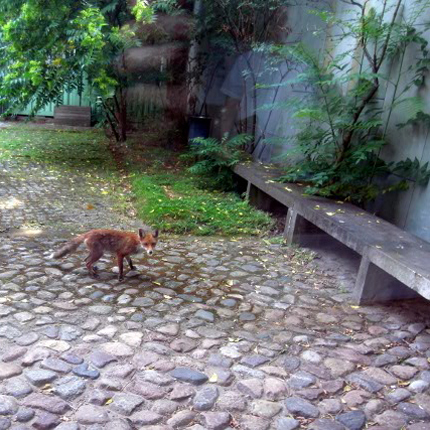 Exif_JPEG_PICTURE