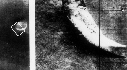 7651156028_01644d6265_c_detail