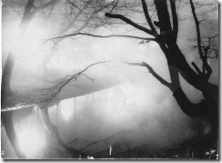 Schwarzes-Ufer
