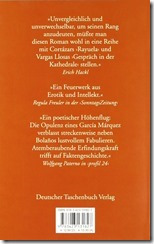 bolano_die wilden Detektive_Backside