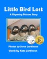 Little Bird Lost by Kate Larkinson
