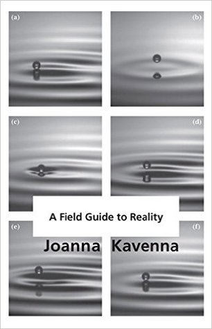 A Field Guide to Reality