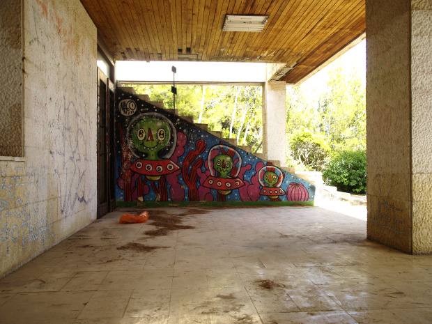 _1019354.JPG