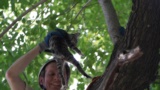 Grab: Cat rescue