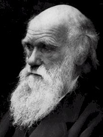 charles-darwin