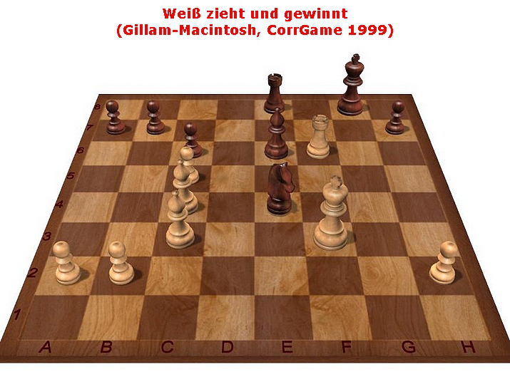 Brillanter Zug 37_Glarean Magazin