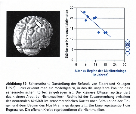 Gehirn_Veränderungen