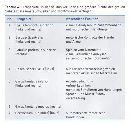 Hirn-Unterschiede