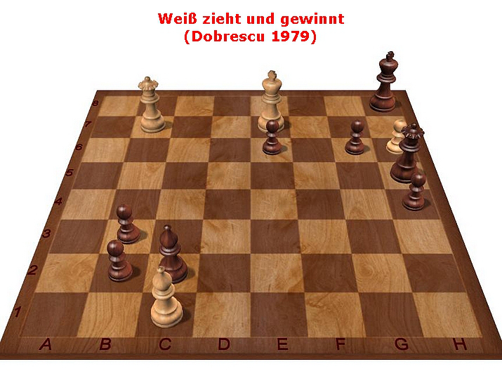 Brillanter Zug 39_Glarean Magazin