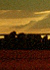 Lyrik