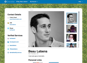 Gravatar Profile with custom background