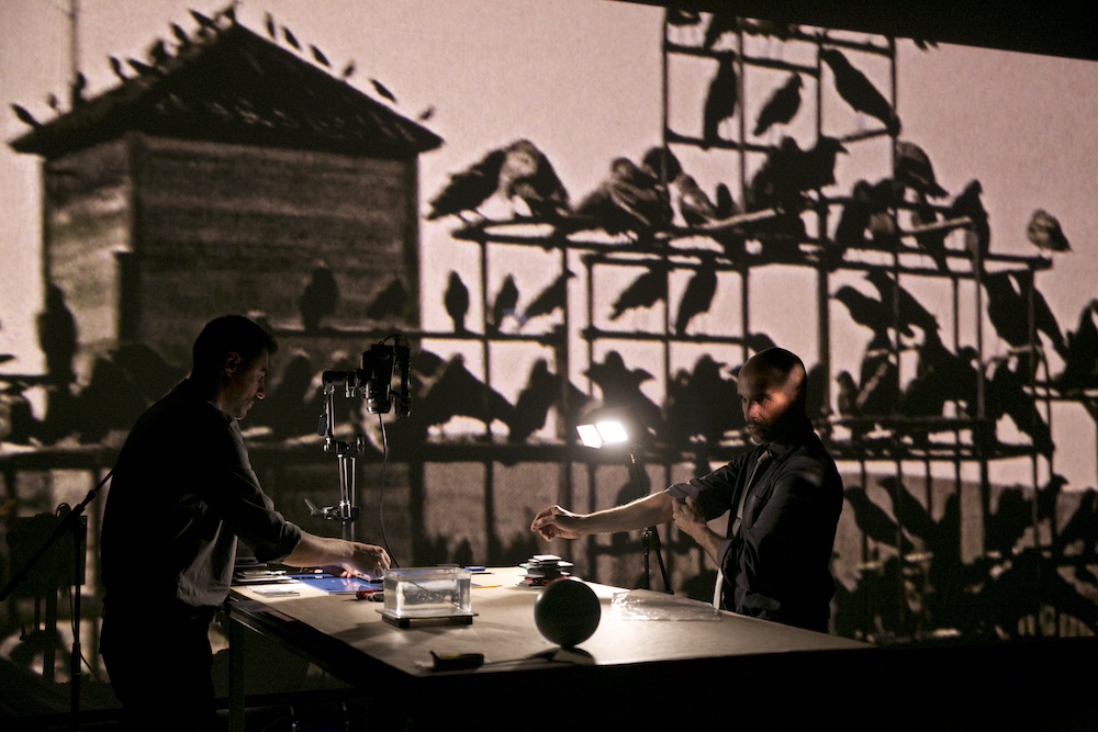 Gastland Spanien – Birdie von Àlex Serrano, Pau Palacios und Ferran Dordal © Pasqual Gorriz
