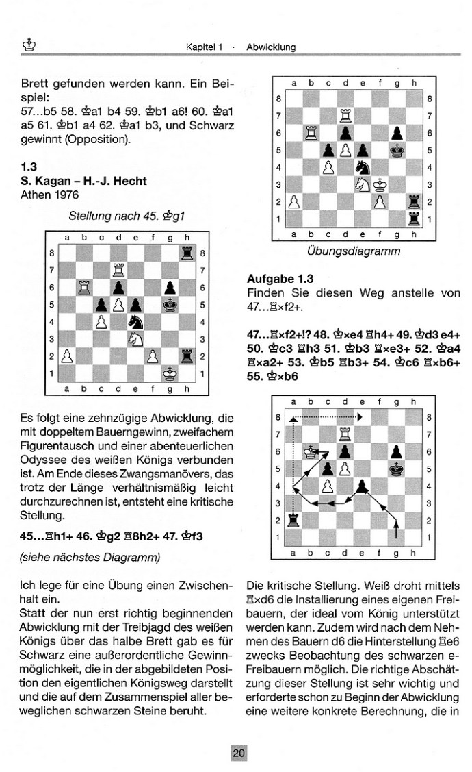Leseprobe aus: Hans-Joachim Hecht: Königswege im Schach - Der Endspiel-Ratgeber (Edition Olms)