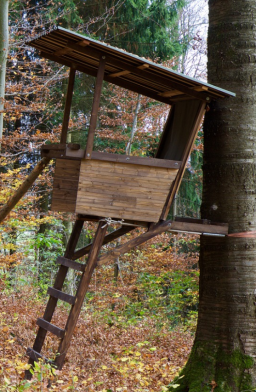 Wald-Jagd-Hochsitz - Glarean Magazin