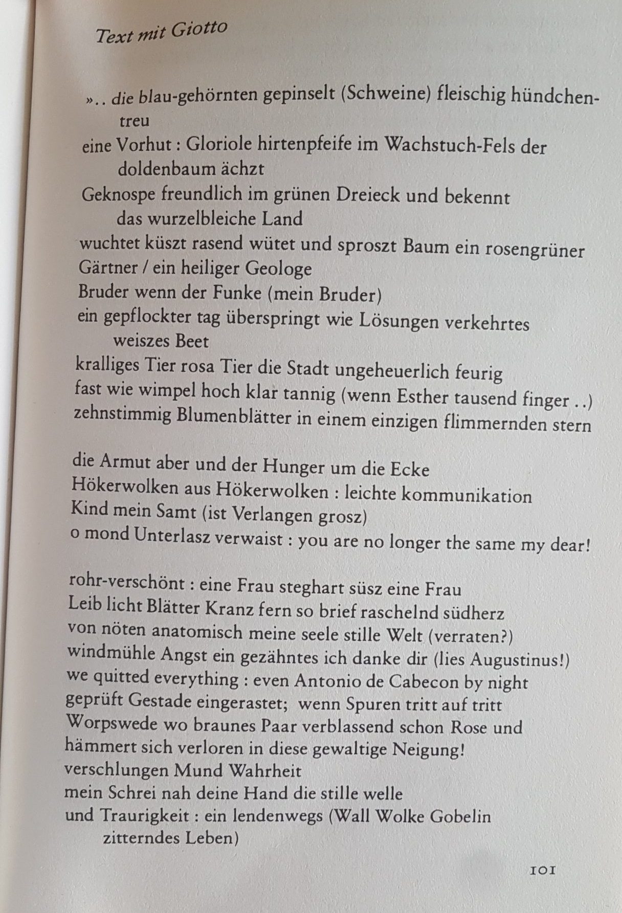 Page-101-Test: Friederike Mayröcker