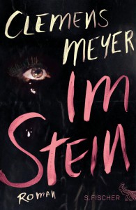 ImStein_Fischer_g