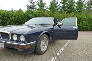 jaguar_800px