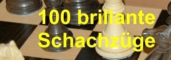 100 brillante Schachzüge - 340x120 - Banner-Werbung Glarean Magazin