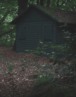 Jagdhütte - Wald - Bäume - Jagdwild - Natur - Glarean Magazin