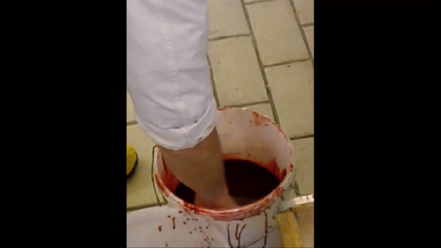blut abschöpfen