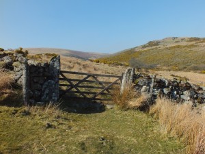 Dartmoor