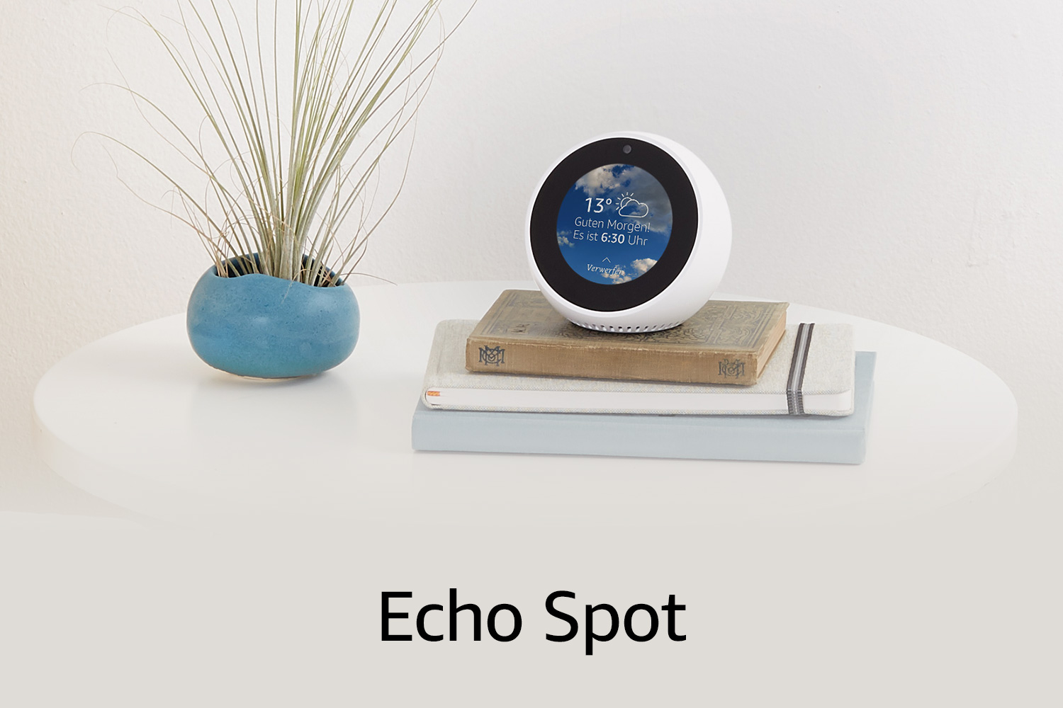 Echo Spot