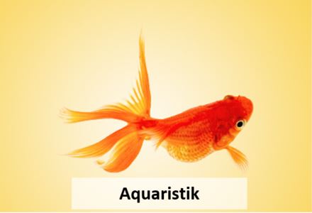 Aquaristik