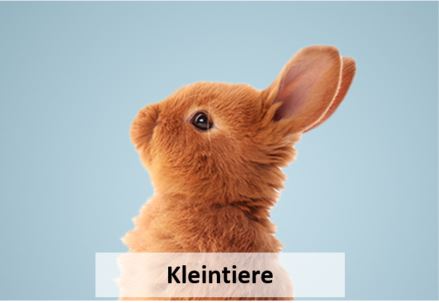 Kleintiere