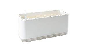 AIRY Box - Luftreiniger Blumentopf für saubere Raumluft. Patentierter Pflanzen-Topf als natürlicher Raumluftfilter, ohne Strom u. Chemie (Snow White)