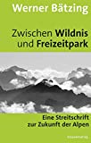 Zwischen Wildnis und Freizeitpark: Eine Streitschrift zur Zukunft der Alpen
