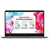 Huawei Matebook D Ryzen 5 2500U 35,56 cm (14 Zoll Full-HD) Notebook (256GB SSD, 8GB RAM, AMD Radeon Vega 8 Graphics, Windows 10 Home) grau