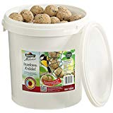 Dehner Natura Wildvogelfutter, Insekten-Knödel, ohne Netz, 100 Stück (10 kg)