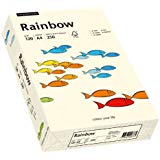 Papyrus 88042254 Drucker-/Kopierpapier farbig: Rainbow 120 g/m² DIN-A4, 250 Blatt Buntpapier hellchamois (Hellbeige)